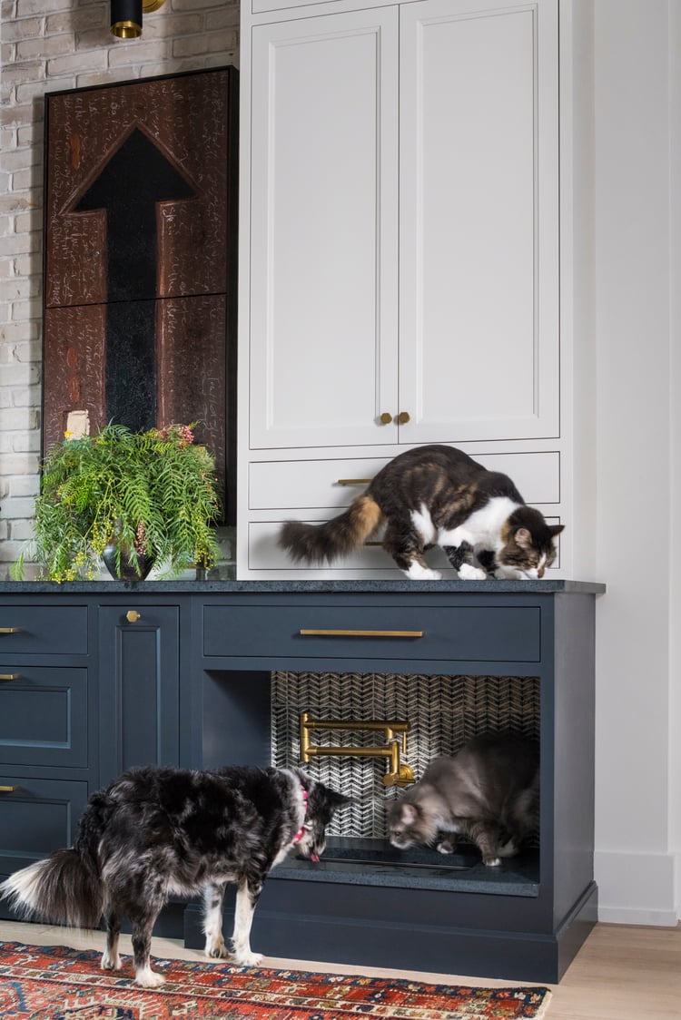 Pet-Friendly Kitchen with drinking fountain
