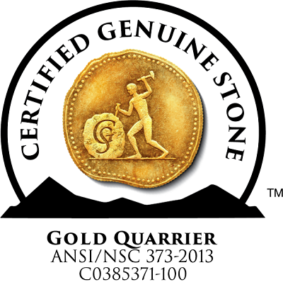 NSC 373 Gold Logo 400px